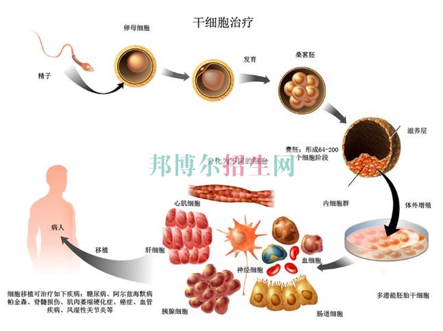 成都臨床醫(yī)學(xué)學(xué)校好不好