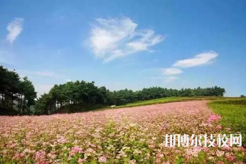 畢節(jié)七星關中等職業(yè)學校怎么樣、好不好