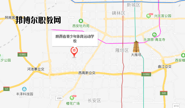 陜西青少年體育運動學校地址在哪里