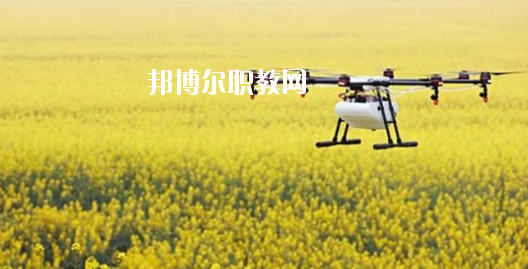 安徽省農(nóng)業(yè)廣播電視學(xué)校2020年招生簡(jiǎn)章