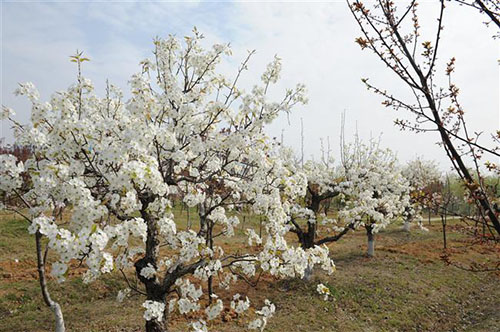 宿遷高等師范學(xué)校怎么樣、好不好