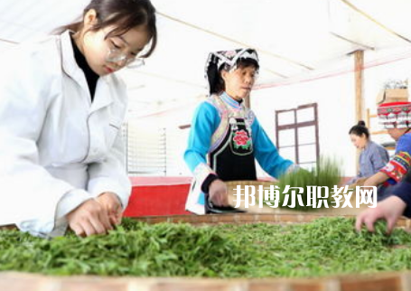 福建2023年女生讀中專學校學什么專業(yè)好