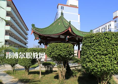 福建2023年去讀中專學校學什么對以后好一點