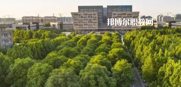 2023山東十大?？茖W(xué)校名單及排行榜